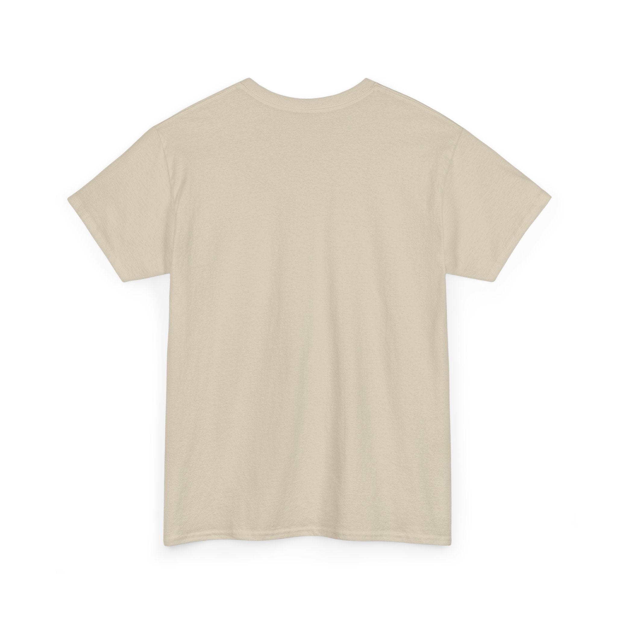 Norvane Plato’s Allegory of the Cave T-Shirt – Modern Philosophy Graphic Tee T-Shirt Printify 